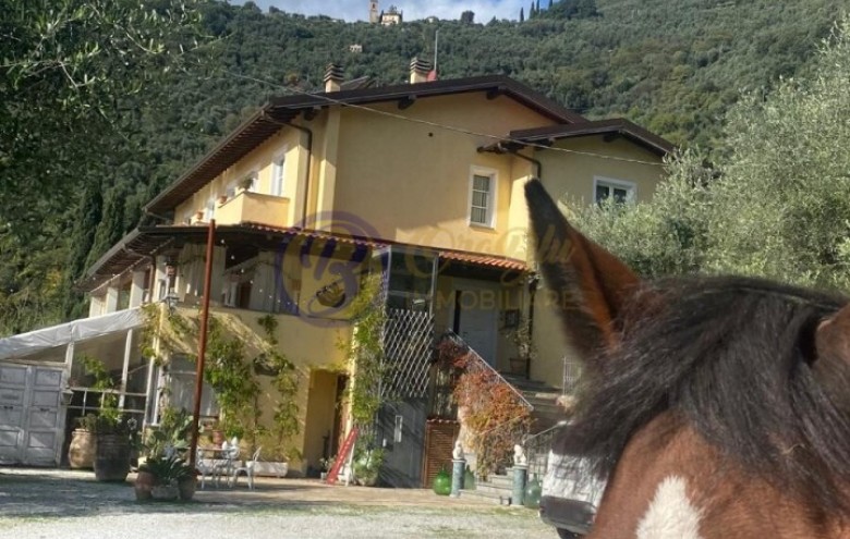 Villa singola in vendita a Camaiore