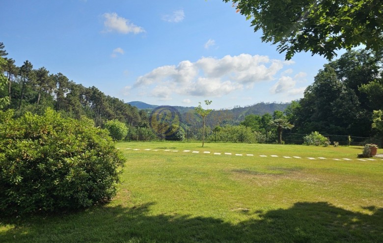 Villa singola in vendita a Camaiore