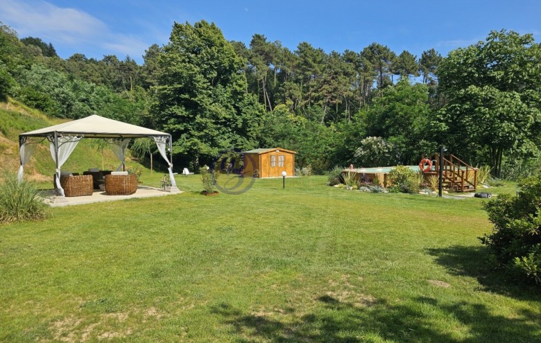 Villa singola in vendita a Camaiore
