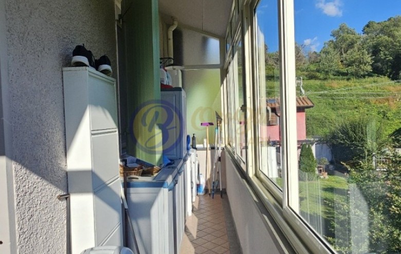 Villa singola in vendita a Camaiore