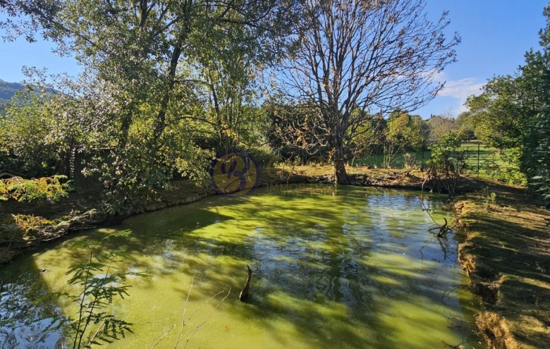 Villa singola in vendita a Camaiore