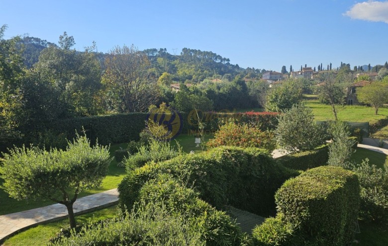 Villa singola in vendita a Camaiore