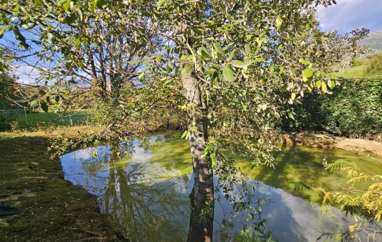 Villa singola in vendita a Camaiore