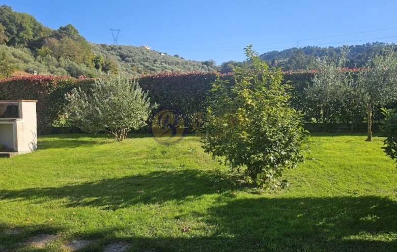 Villa singola in vendita a Camaiore