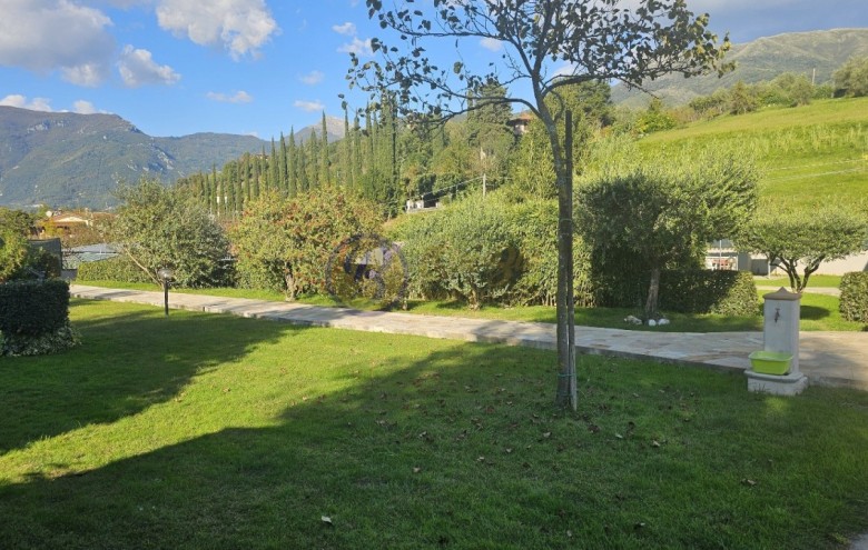 Villa singola in vendita a Camaiore