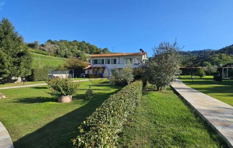 Villa singola in vendita a Camaiore