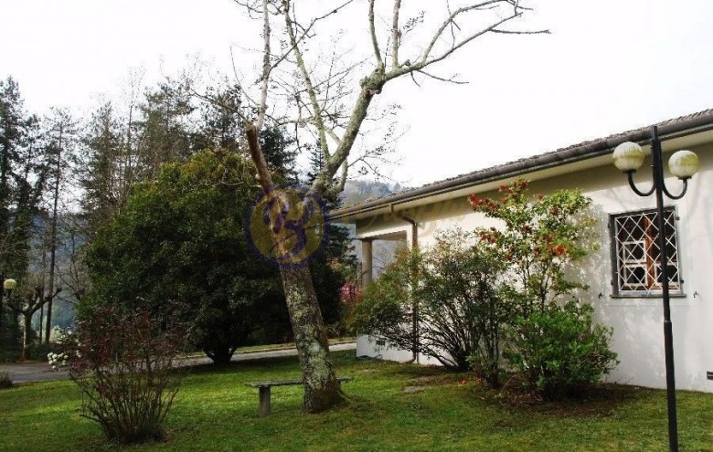 Villa singola in vendita a Camaiore