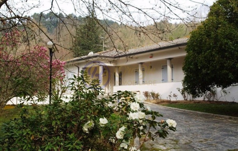Villa singola in vendita a Camaiore