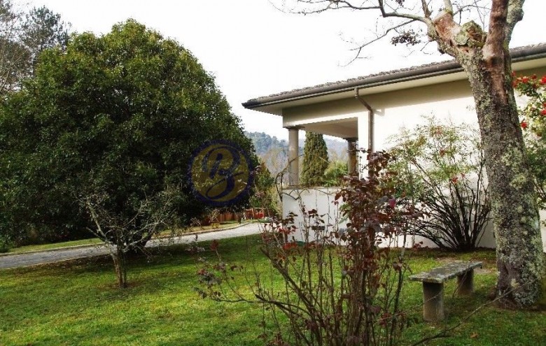 Villa singola in vendita a Camaiore