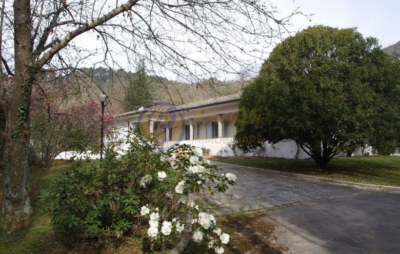 Villa singola in vendita a Camaiore