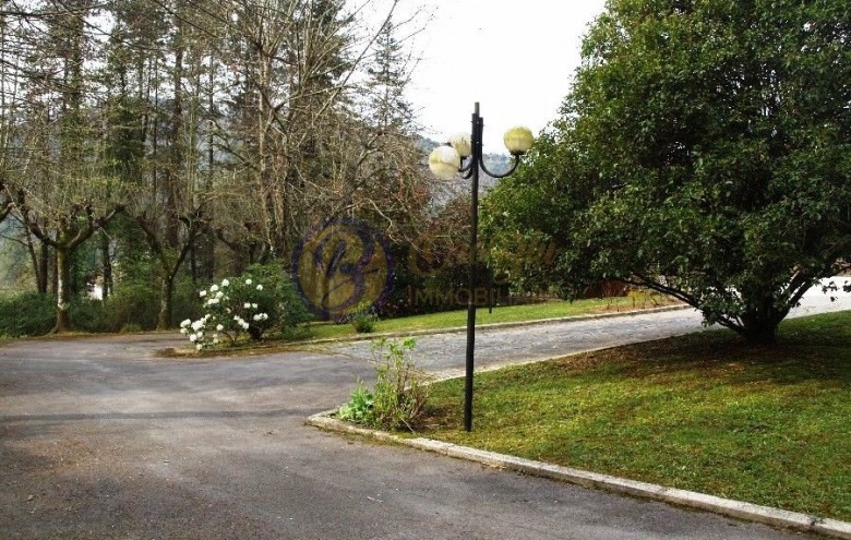 Villa singola in vendita a Camaiore