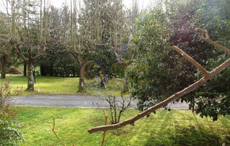 Villa singola in vendita a Camaiore