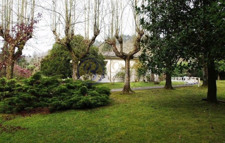 Villa singola in vendita a Camaiore