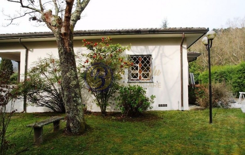 Villa singola in vendita a Camaiore