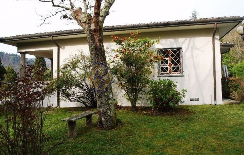 Villa singola in vendita a Camaiore