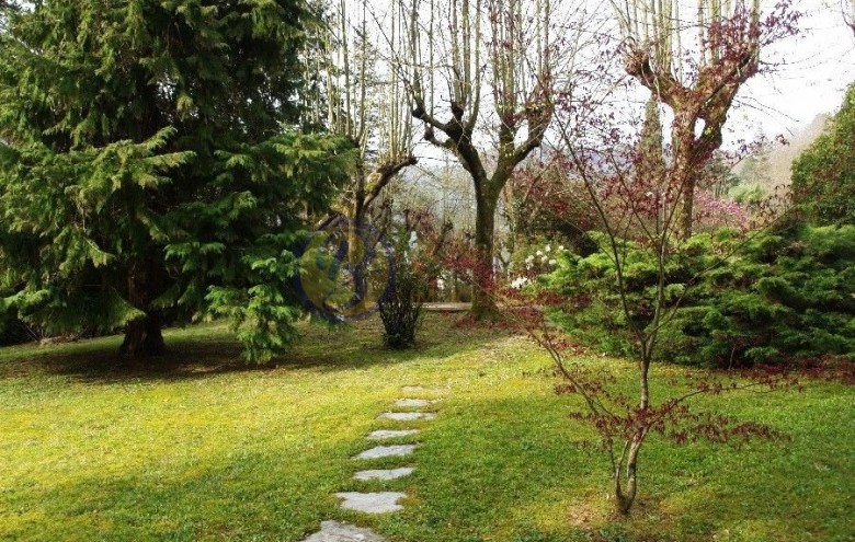 Villa singola in vendita a Camaiore