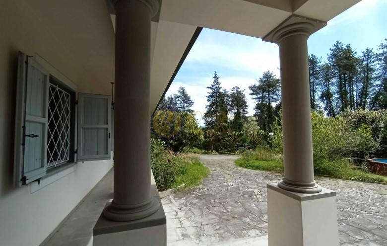 Villa singola in vendita a Camaiore