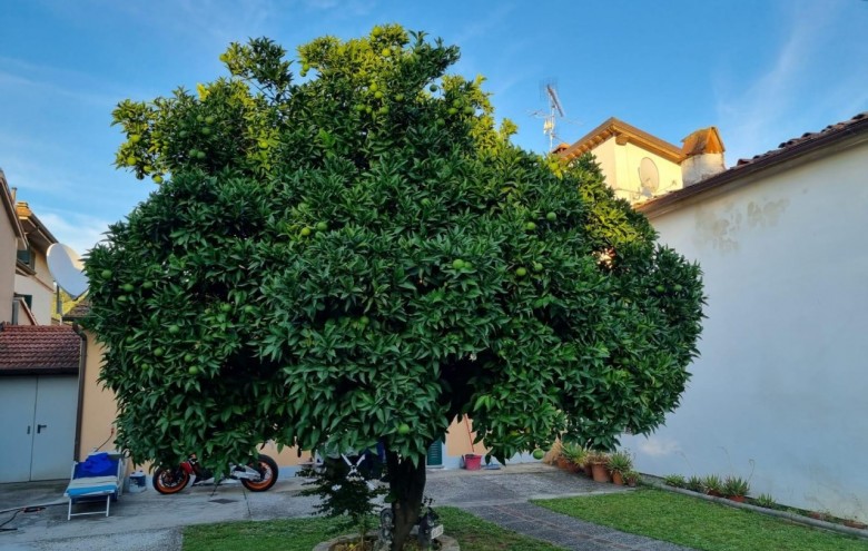 Villetta a schiera in vendita a Camaiore