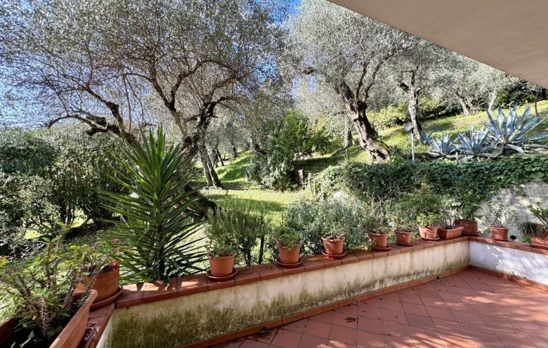 Villa singola in vendita a Massarosa