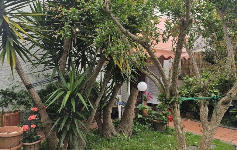 Bifamiliare in vendita a Forte dei Marmi