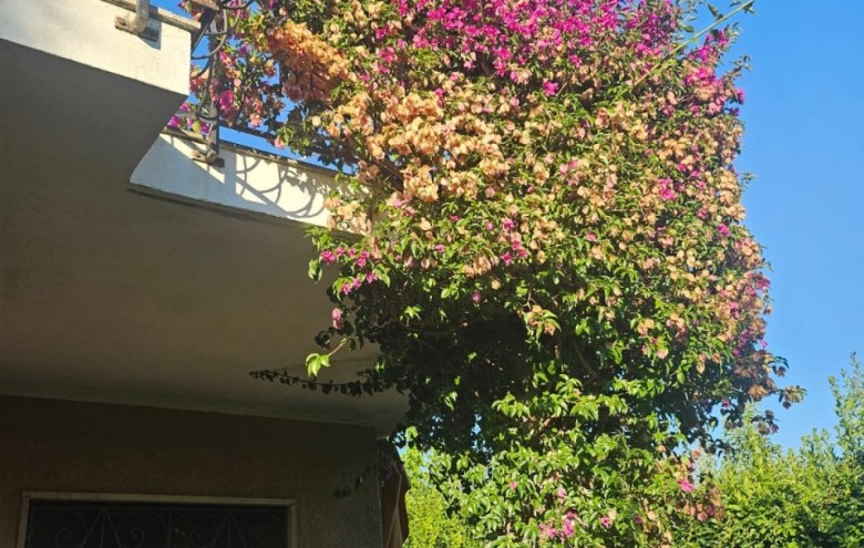 Bifamiliare in vendita a Forte dei Marmi