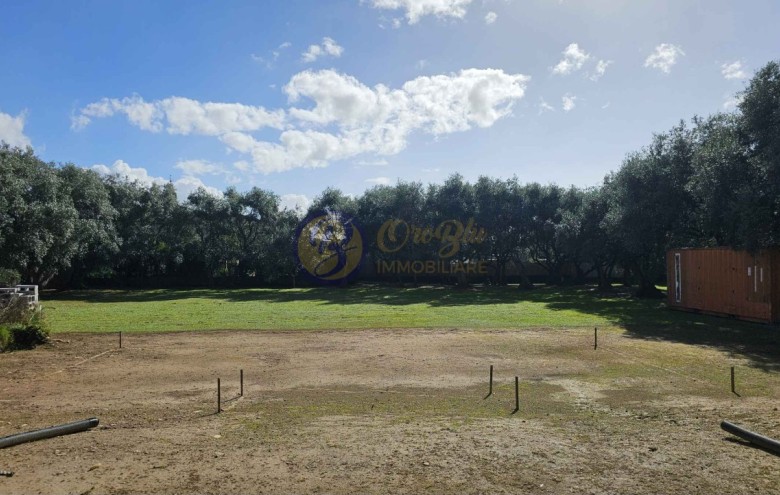 Villa singola in vendita a Seravezza