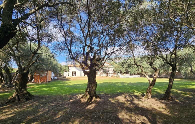 Villa singola in vendita a Seravezza