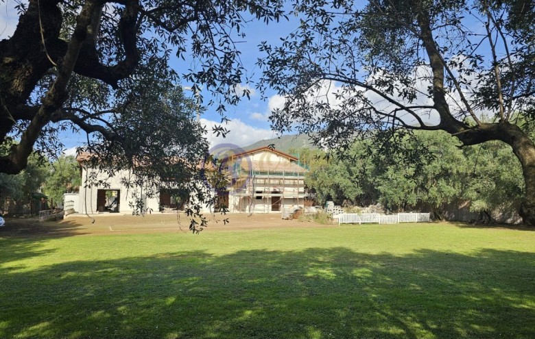 Villa singola in vendita a Seravezza