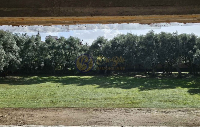 Villa singola in vendita a Seravezza