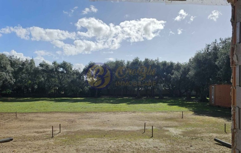 Villa singola in vendita a Seravezza