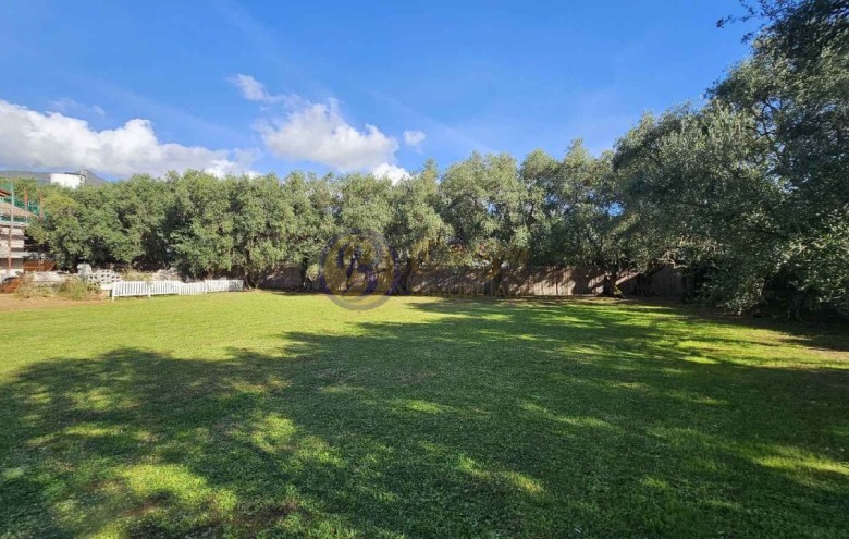 Villa singola in vendita a Seravezza