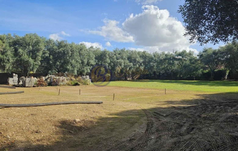 Villa singola in vendita a Seravezza