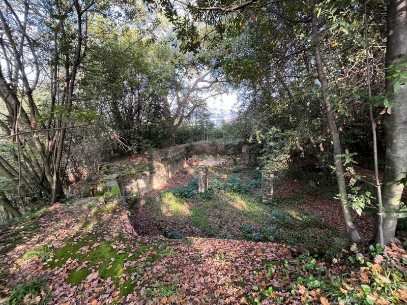 Rustico in vendita a Massarosa