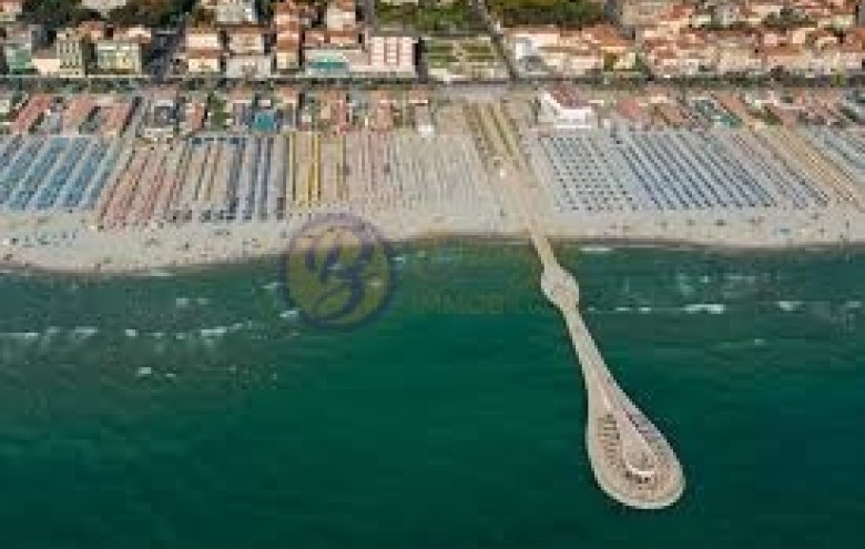 Attività Commerciale in vendita a Camaiore