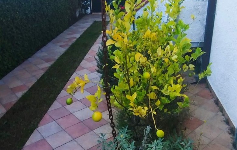 Bifamiliare in vendita a Camaiore