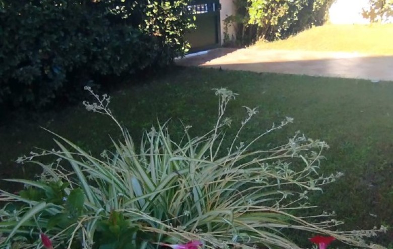 Bifamiliare in vendita a Camaiore