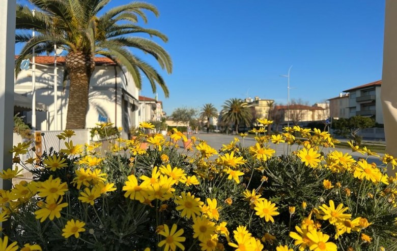 Appartamento in vendita a Camaiore