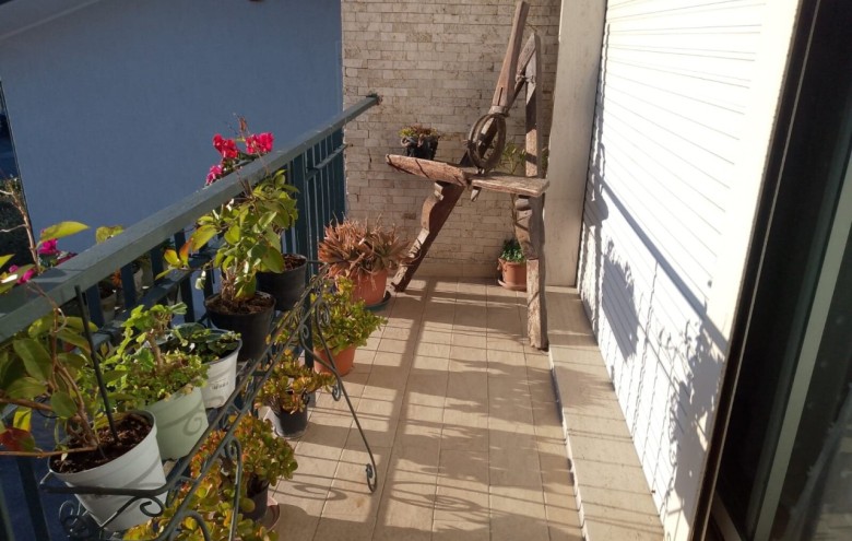 Appartamento in affitto a Camaiore