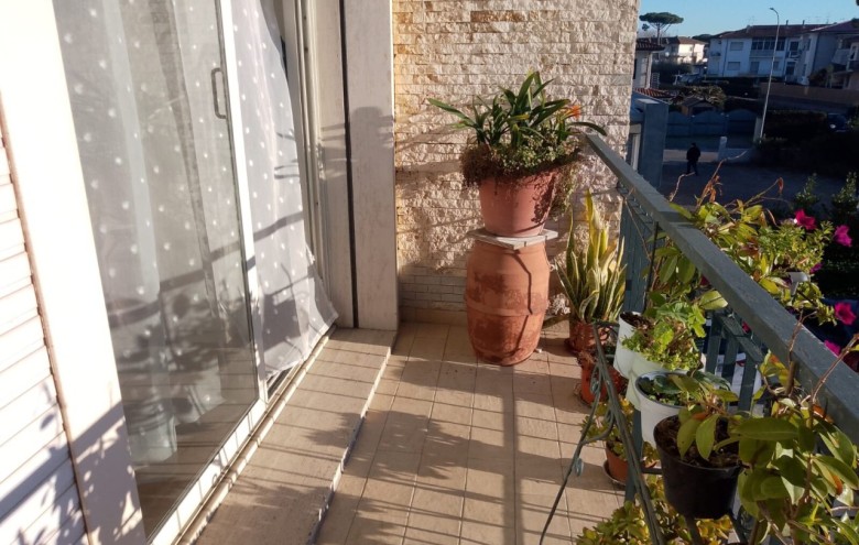 Appartamento in affitto a Camaiore