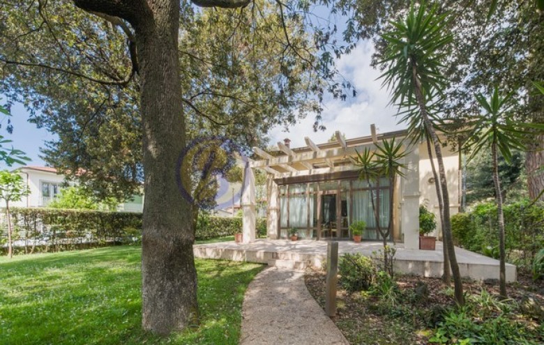 Villa singola in vendita a Camaiore