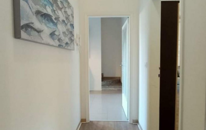 Villa singola in affitto a Pietrasanta