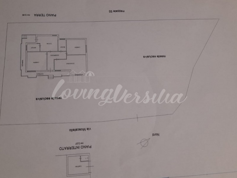 planimetria - Villa singola in vendita a Camaiore