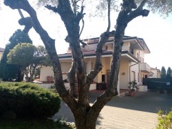 villa-bifamiliare-con-bel-giardino