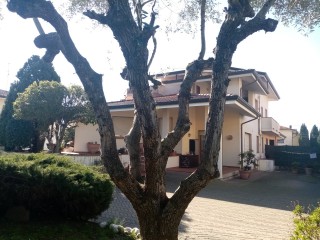 Bifamiliare in vendita a Massarosa