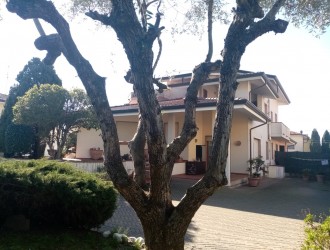 Bifamiliare in vendita a Massarosa
