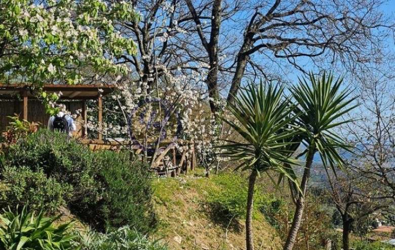 Villa singola in vendita a Massarosa