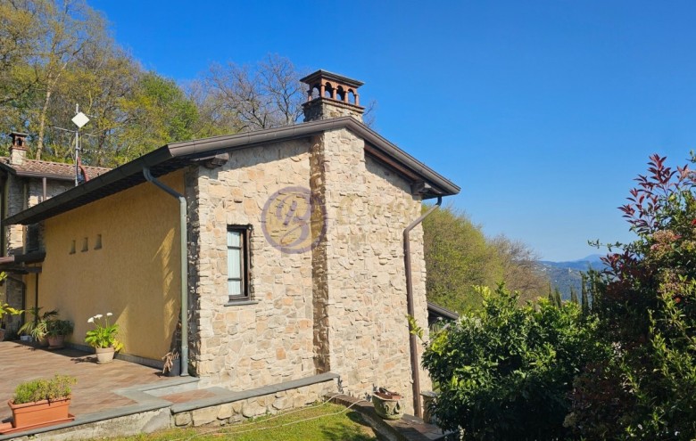 Villa singola in vendita a Massarosa