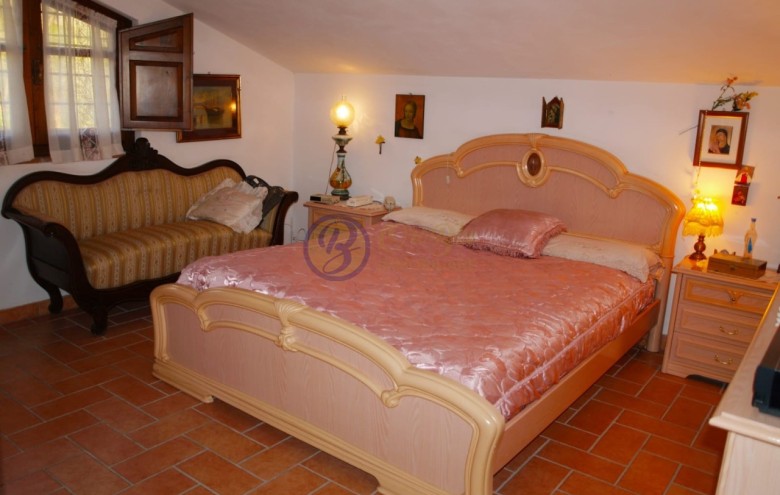 Villa singola in vendita a Massarosa