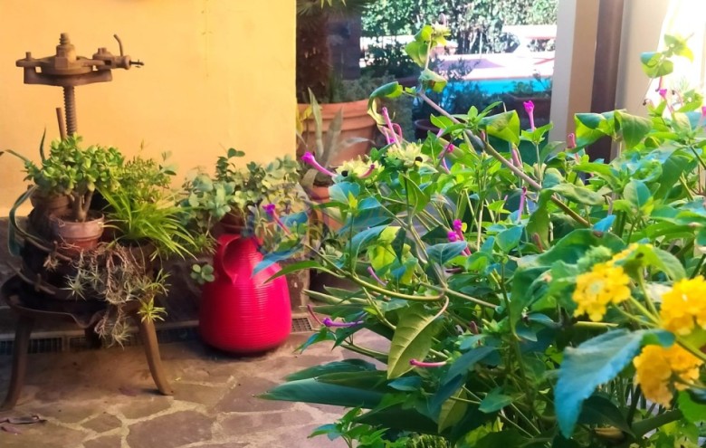 Villa singola in vendita a Massarosa