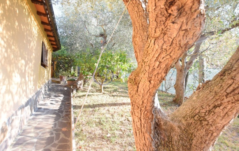 Villa singola in vendita a Massarosa